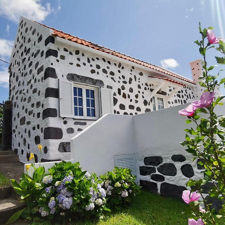 Vivenda Flores - Casa Hortensia Lomba  ภายนอก รูปภาพ